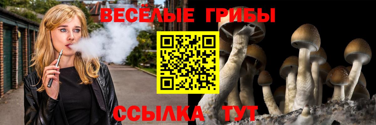 Псилоцибиновые грибы MAGIC MUSHROOMS  Псилоцибиновые грибы GOLDEN TEACHER  Вход с VPN  Уссурийск 